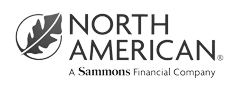 NorthAmerican.png